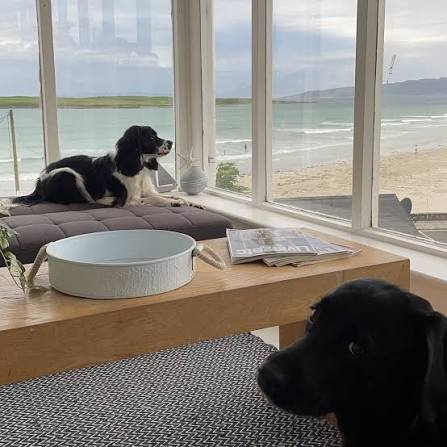 Lounge seating overlooking the beach at Carnaween House